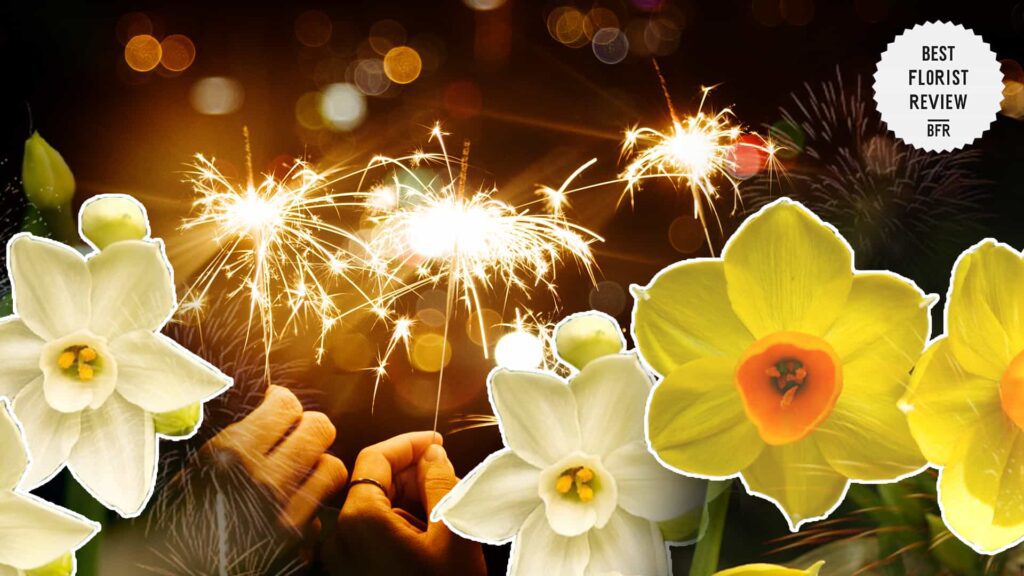 What are the cultural associations of the jonquil flower