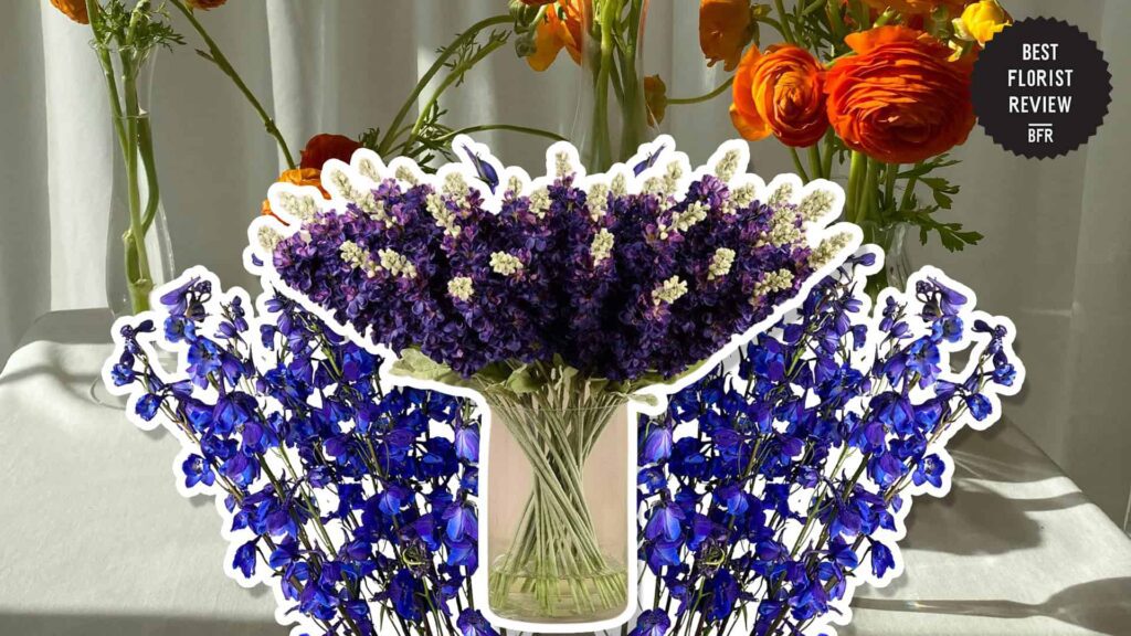 What are the uses of Delphinium flowers