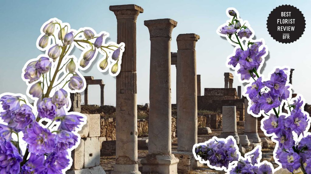 What did Delphinium flowers symbolize in various historical periods