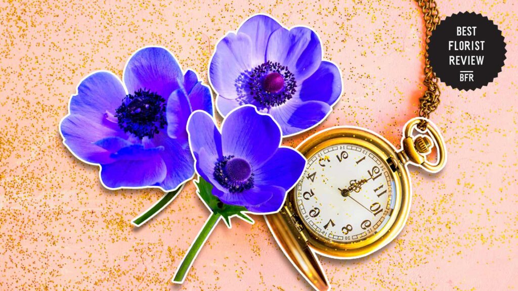 What did the anemone symbolize during the Victorian era