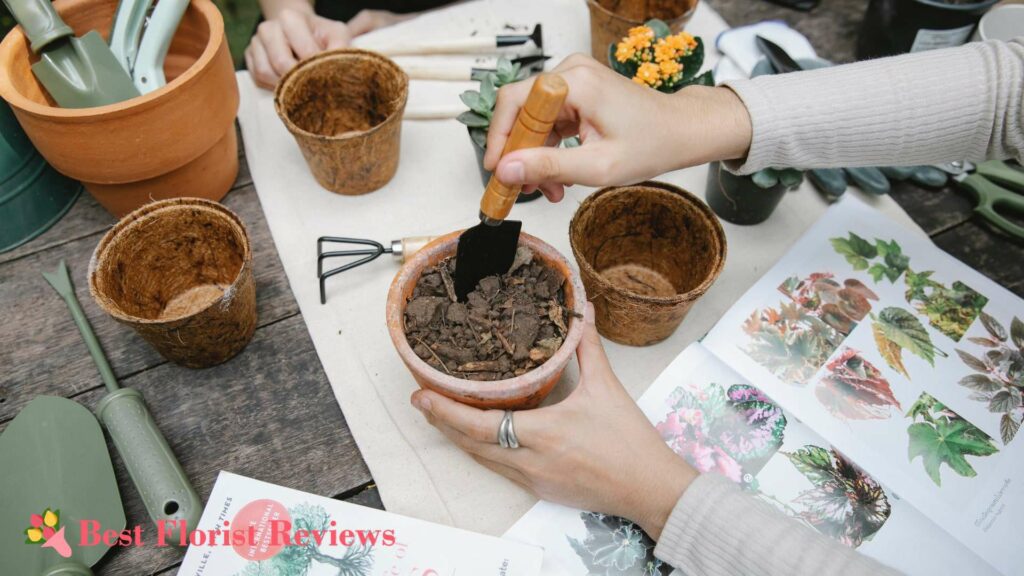 What potting mix is best for monkey orchids