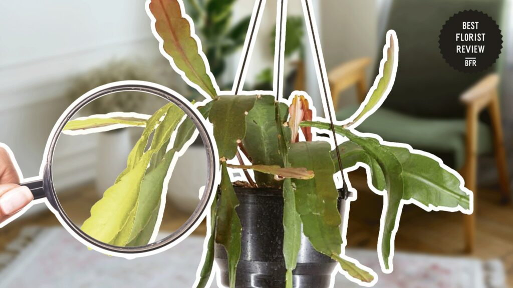 Yellow Stems