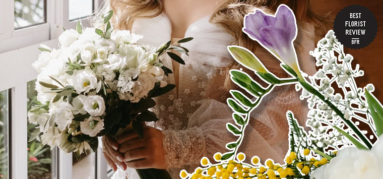 What are the spiritual or religious meanings of freesia flowers