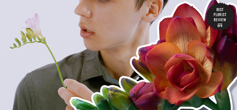 What do freesia flowers mean