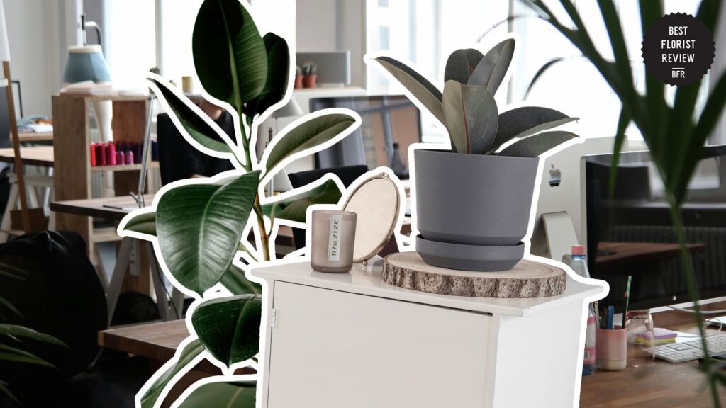 beautiful-home-decoration