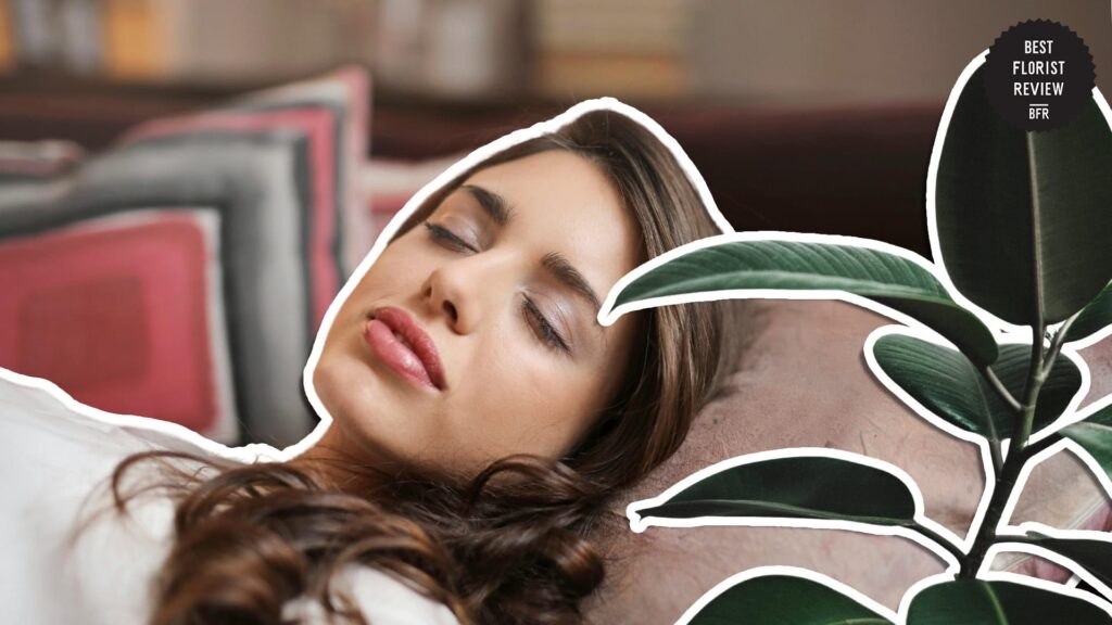better-sleep-quality