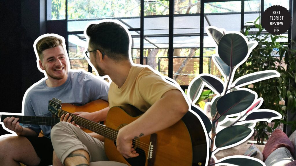 enhances-home-acoustics