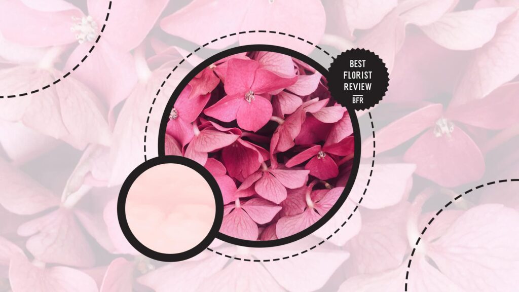meaning-of-color-pink