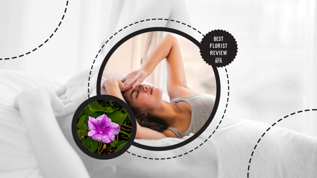 morning-glory-flower-medicinal-purposes