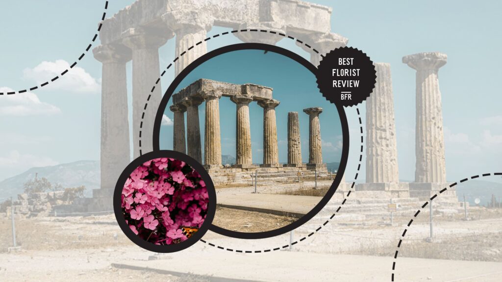 pink-flowers-in-historical-periods