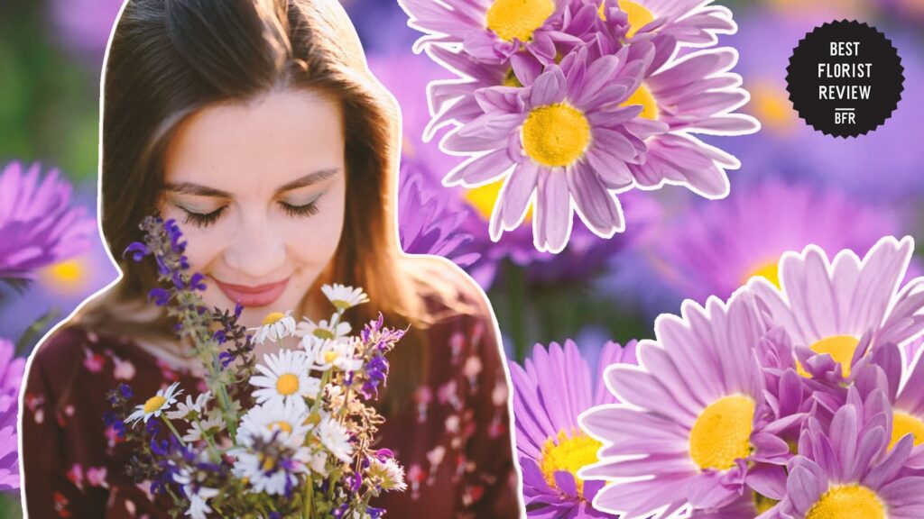 asters