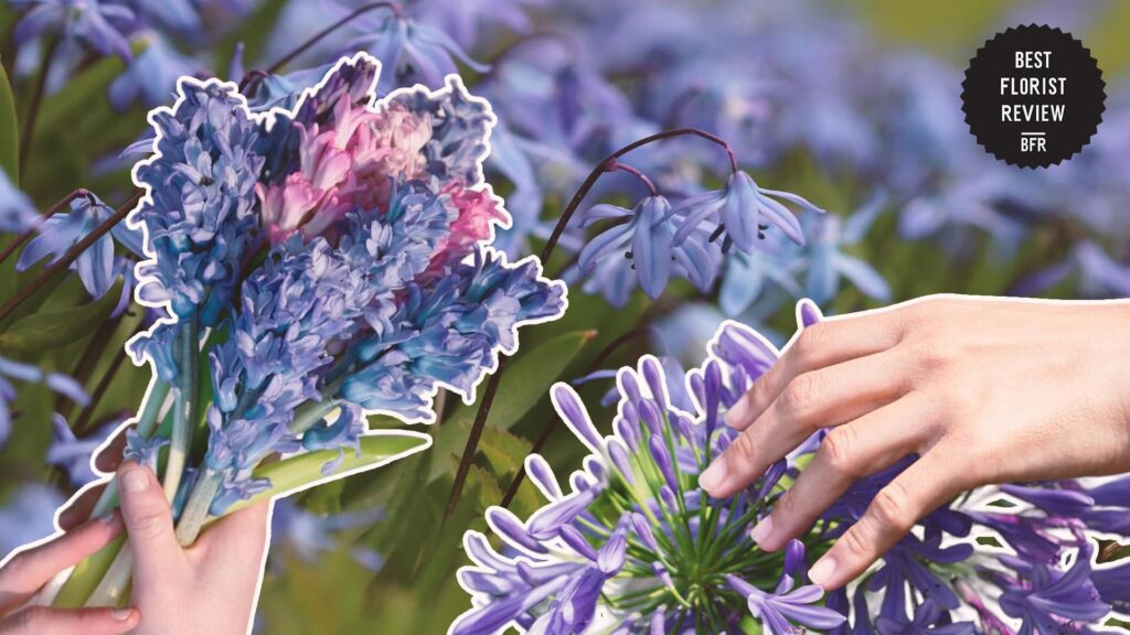 bluebells