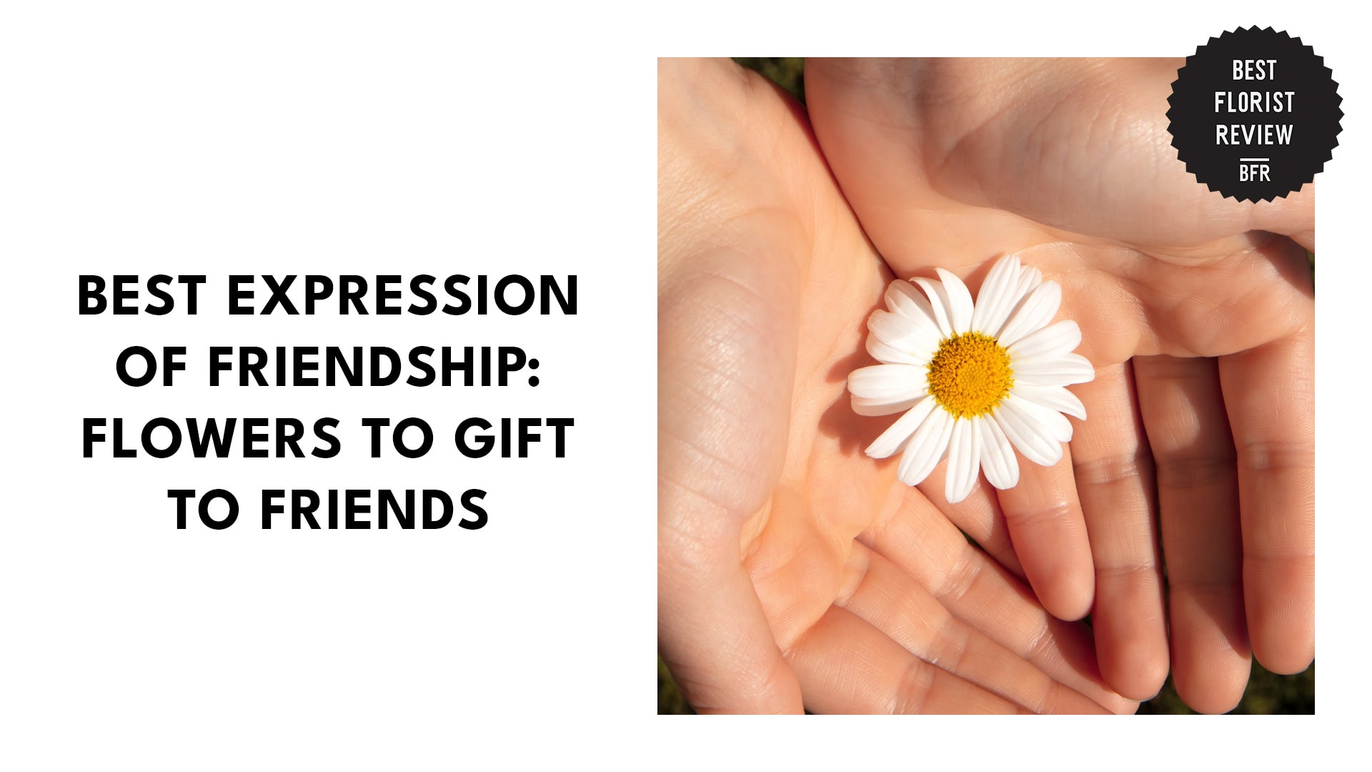 flowers-to-gift-to-friends-banner