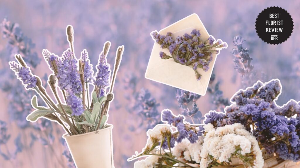 lavender