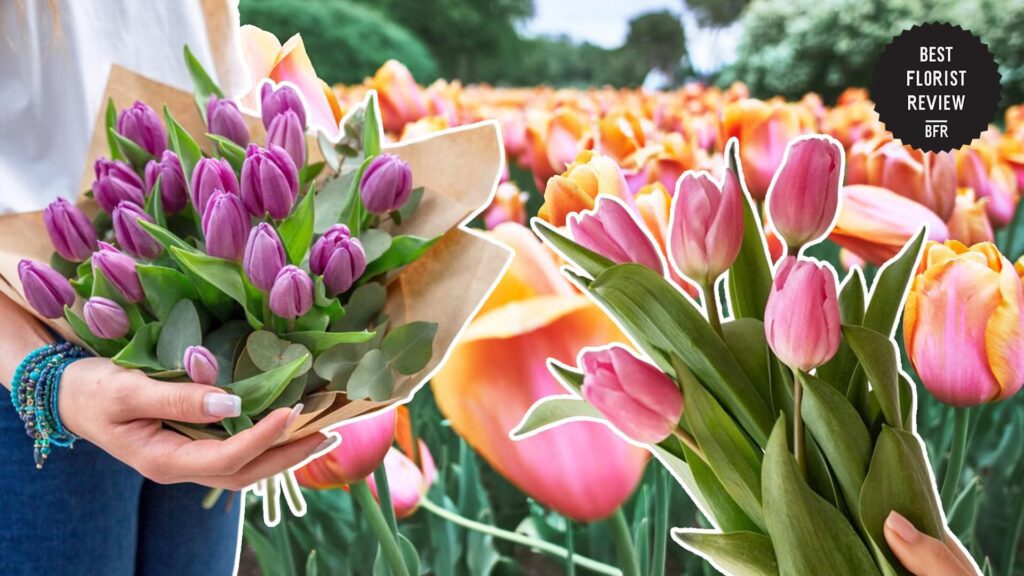 tulips