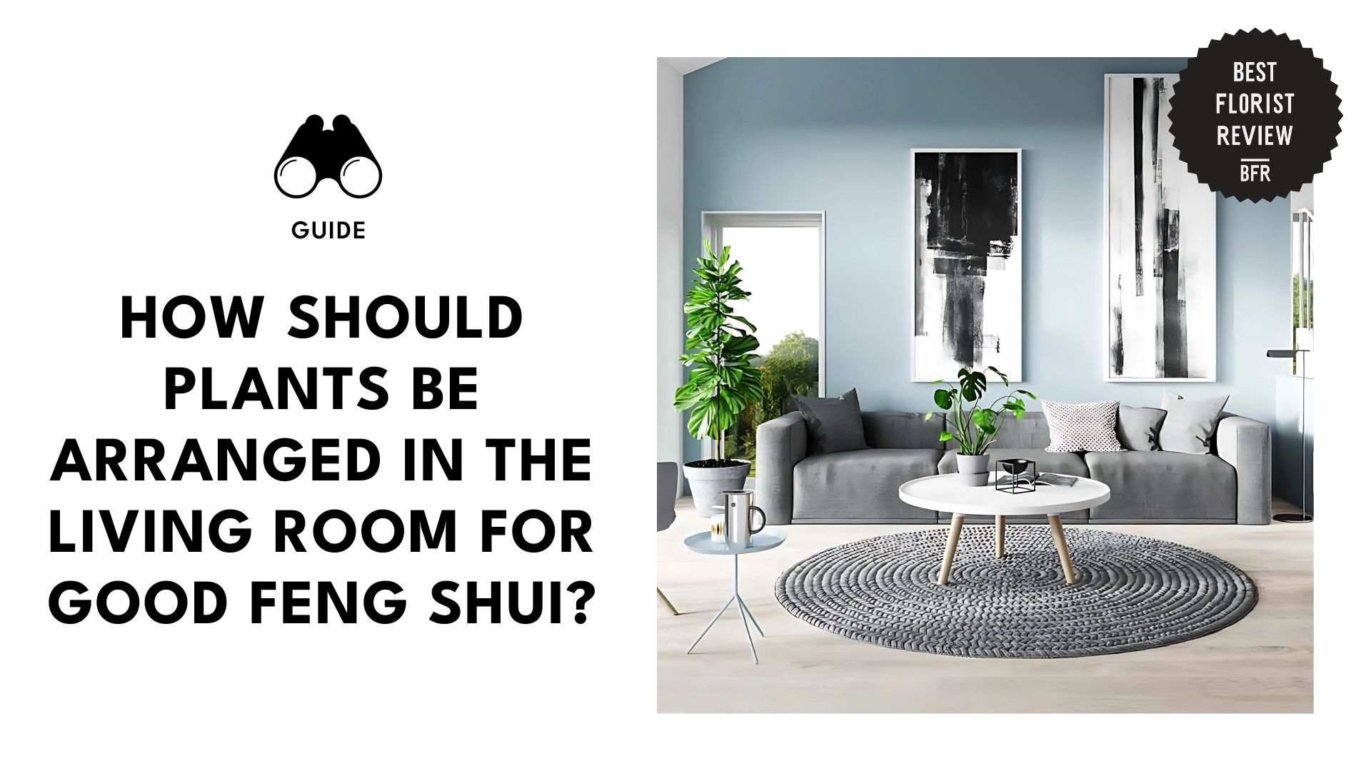arranging-plants-in-living-room-for-good-feng-shui-banner