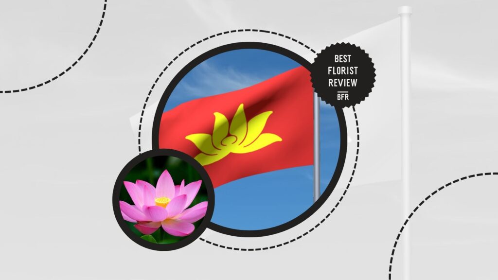 lotus-flower-cultural-associations