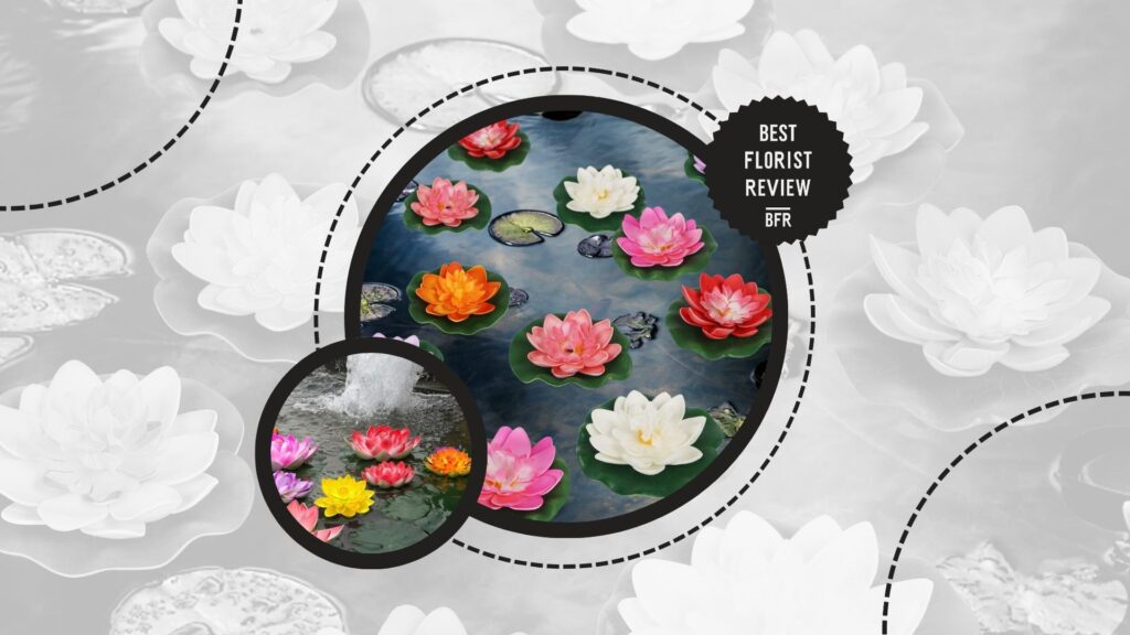 lotus-flower-means