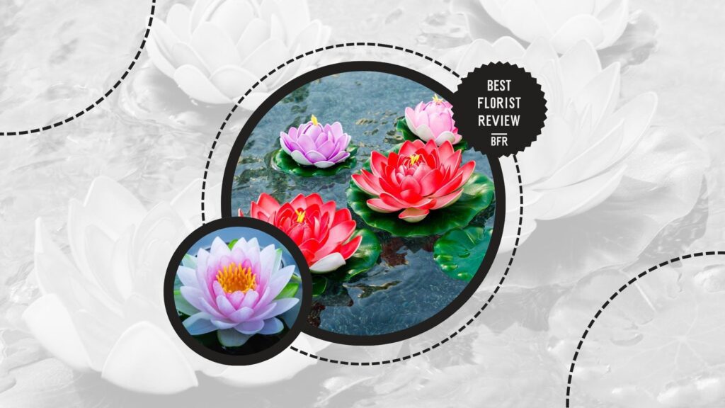 lotus-flower-name