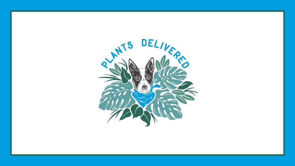 plants-delivered-chicago-logo